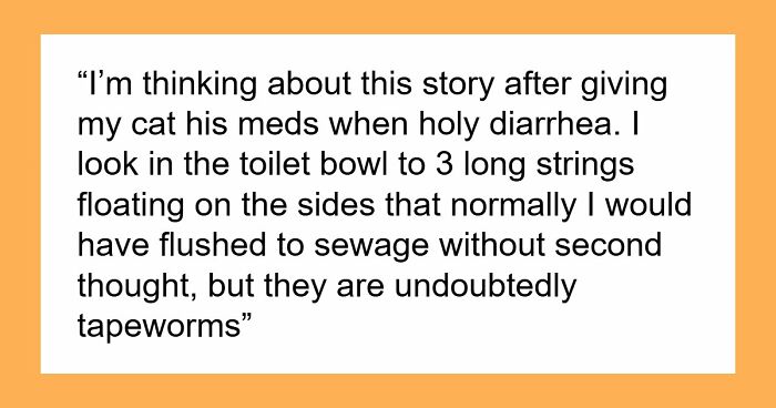 Woman Brings Home Cute Senior Cat, Accidentally Signs Up For Matching Tapeworms And Expensive Regret