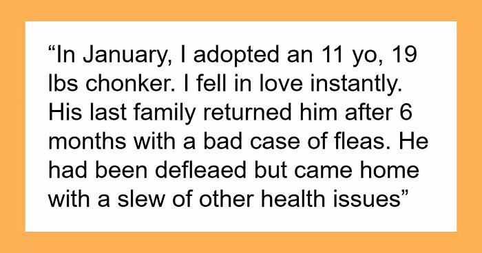 Woman Brings Home Cute Senior Cat, Accidentally Signs Up For Matching Tapeworms And Expensive Regret