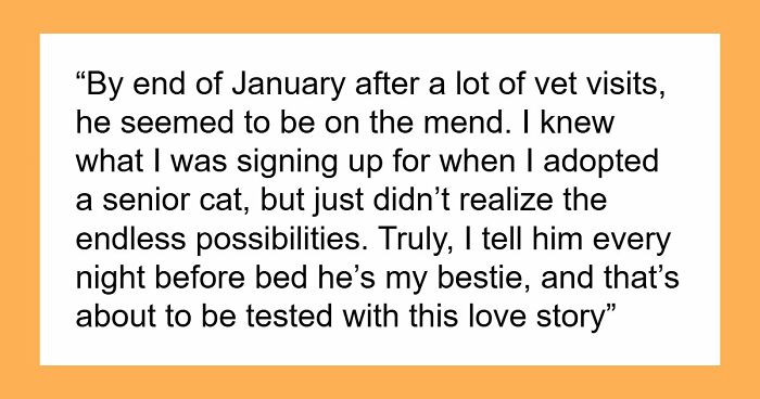Woman Brings Home Cute Senior Cat, Accidentally Signs Up For Matching Tapeworms And Expensive Regret