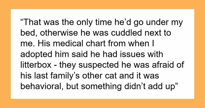 Woman Brings Home Cute Senior Cat, Accidentally Signs Up For Matching Tapeworms And Expensive Regret