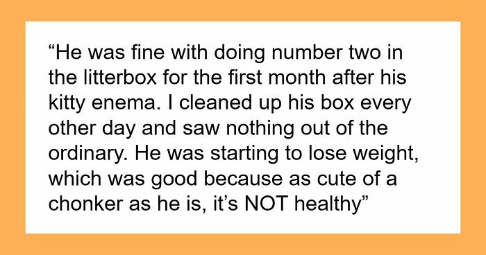 Woman Brings Home Cute Senior Cat, Accidentally Signs Up For Matching Tapeworms And Expensive Regret