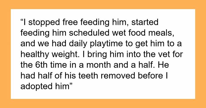 Woman Brings Home Cute Senior Cat, Accidentally Signs Up For Matching Tapeworms And Expensive Regret