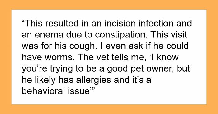 Woman Brings Home Cute Senior Cat, Accidentally Signs Up For Matching Tapeworms And Expensive Regret