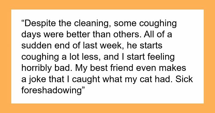 Woman Brings Home Cute Senior Cat, Accidentally Signs Up For Matching Tapeworms And Expensive Regret