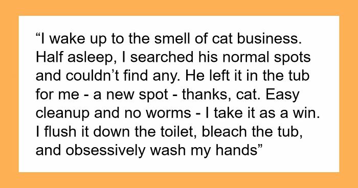 Woman Brings Home Cute Senior Cat, Accidentally Signs Up For Matching Tapeworms And Expensive Regret