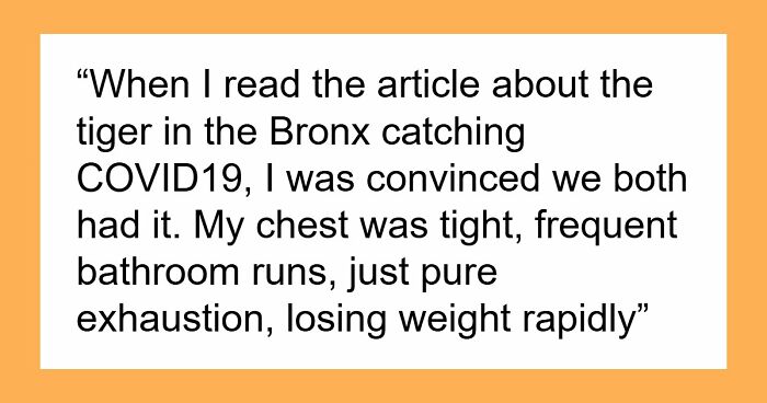 Woman Brings Home Cute Senior Cat, Accidentally Signs Up For Matching Tapeworms And Expensive Regret