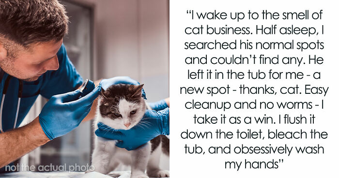 Woman Brings Home Cute Senior Cat, Accidentally Signs Up For Matching Tapeworms And Expensive Regret