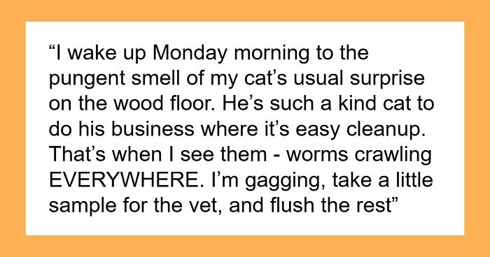 Woman Brings Home Cute Senior Cat, Accidentally Signs Up For Matching Tapeworms And Expensive Regret
