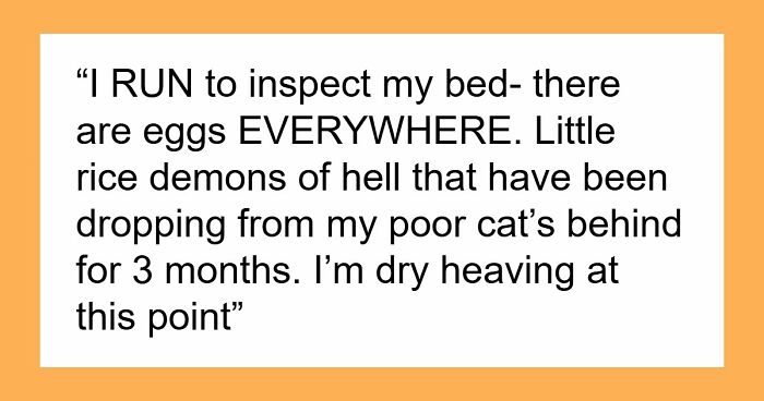 Woman Brings Home Cute Senior Cat, Accidentally Signs Up For Matching Tapeworms And Expensive Regret