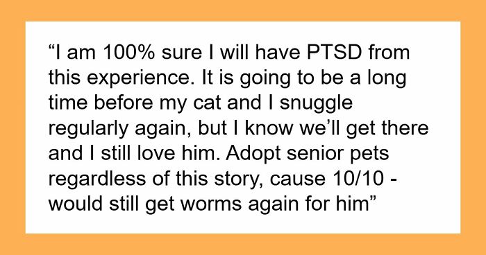 Woman Brings Home Cute Senior Cat, Accidentally Signs Up For Matching Tapeworms And Expensive Regret