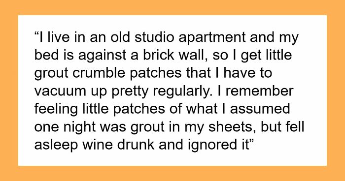 Woman Brings Home Cute Senior Cat, Accidentally Signs Up For Matching Tapeworms And Expensive Regret