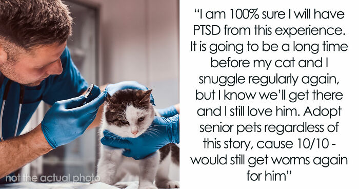 Woman Brings Home Cute Senior Cat, Accidentally Signs Up For Matching Tapeworms And Expensive Regret