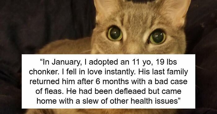 Woman Brings Home Cute Senior Cat, Accidentally Signs Up For Matching Tapeworms And Expensive Regret