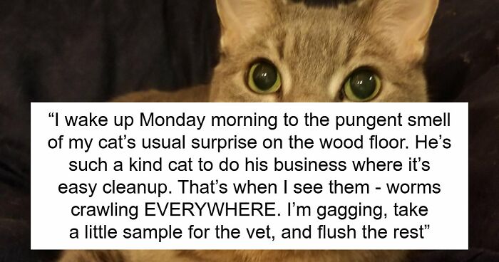 Woman Brings Home Cute Senior Cat, Accidentally Signs Up For Matching Tapeworms And Expensive Regret