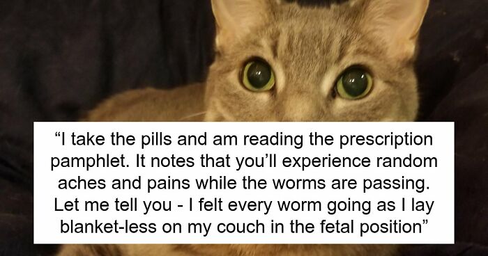 Woman Brings Home Cute Senior Cat, Accidentally Signs Up For Matching Tapeworms And Expensive Regret
