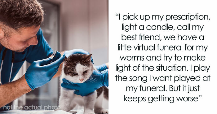 Woman Brings Home Cute Senior Cat, Accidentally Signs Up For Matching Tapeworms And Expensive Regret