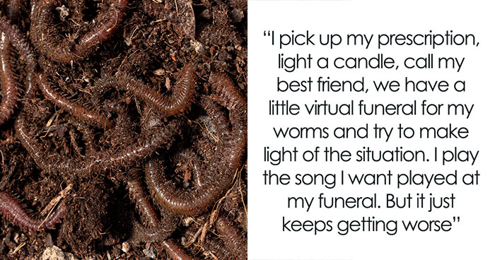 Woman Finds Tapeworm Eggs Throughout Her Home, What Follows Is Even More Horrifying