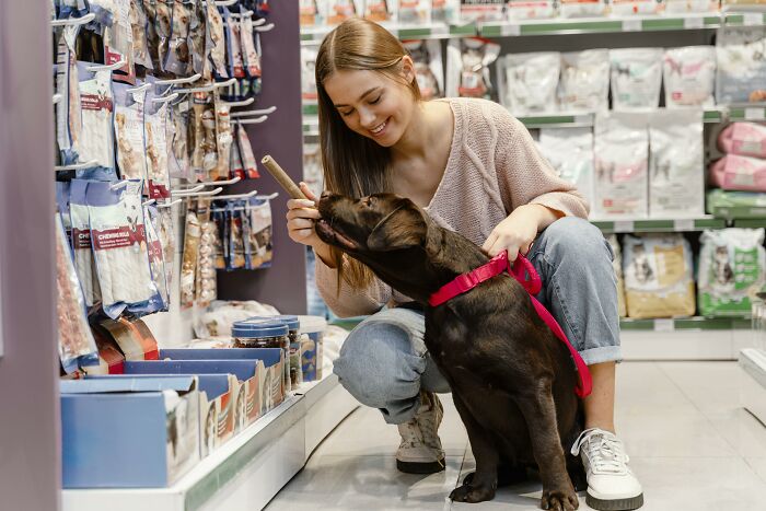 A smiling woman with her brown lab in a pet store. The dog looks suspiciously like humans, sniffing a treat.