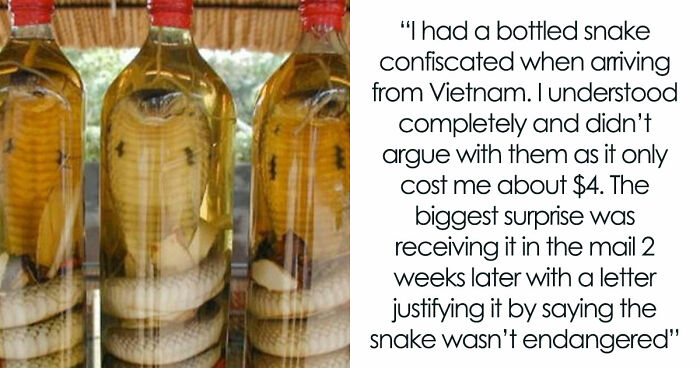 From Hilarious To Downright Unhinged, Here Are 34 Items TSA Has Had To Confiscate Off Of Someone