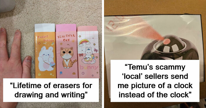 “Lesson Learnt”: 55 Times People Ordered From Temu Or AliExpress And Could Only Blame Themselves