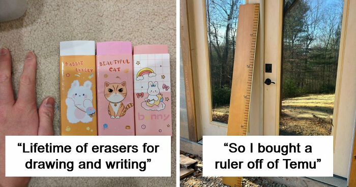 “Lesson Learnt”: 55 Times People Ordered From Temu Or AliExpress And Could Only Blame Themselves