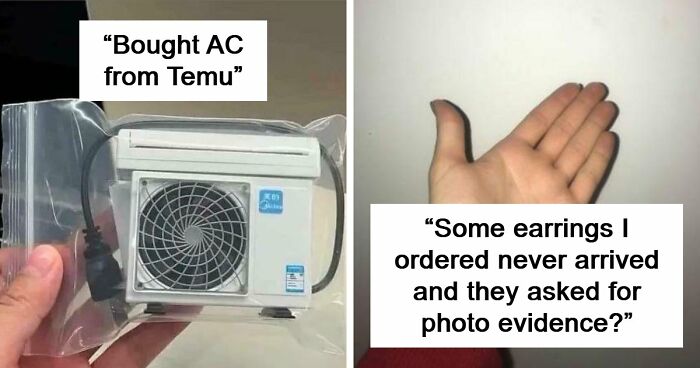 “Lesson Learnt”: 55 Times People Ordered From Temu Or AliExpress And Could Only Blame Themselves