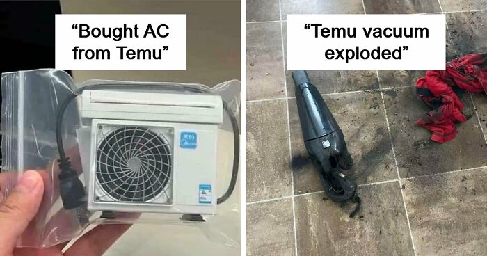 “Lesson Learnt”: 55 Times People Ordered From Temu Or AliExpress And Could Only Blame Themselves