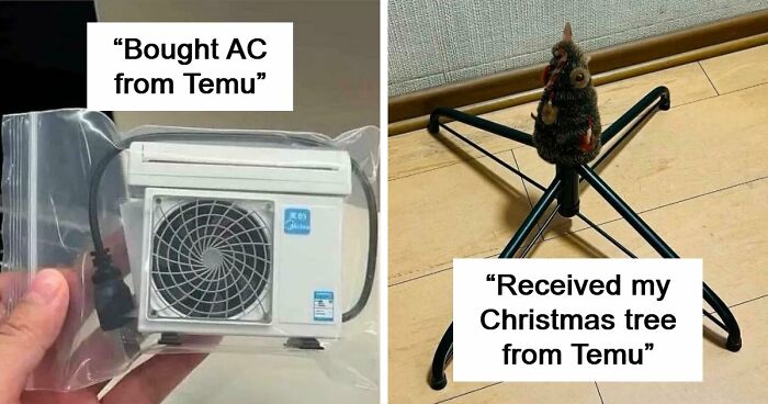 “Lesson Learnt”: 55 Times People Ordered From Temu Or AliExpress And Could Only Blame Themselves