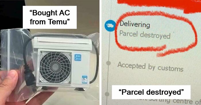 “Lesson Learnt”: 55 Times People Ordered From Temu Or AliExpress And Could Only Blame Themselves