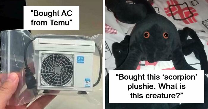 “Lesson Learnt”: 55 Times People Ordered From Temu Or AliExpress And Could Only Blame Themselves