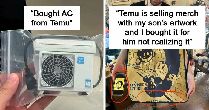 “Lesson Learnt”: 55 Times People Ordered From Temu Or AliExpress And Could Only Blame Themselves