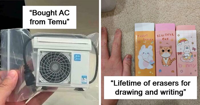 “Lesson Learnt”: 55 Times People Ordered From Temu Or AliExpress And Could Only Blame Themselves