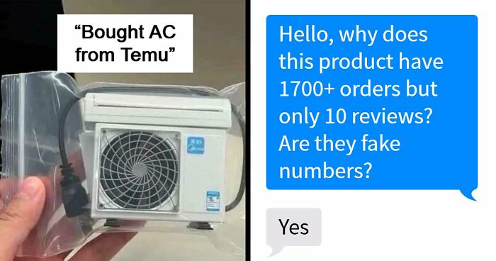 “Lesson Learnt”: 55 Times People Ordered From Temu Or AliExpress And Could Only Blame Themselves
