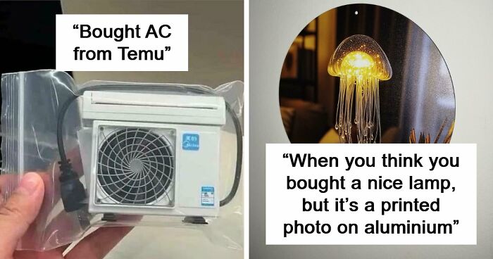 “Lesson Learnt”: 55 Times People Ordered From Temu Or AliExpress And Could Only Blame Themselves