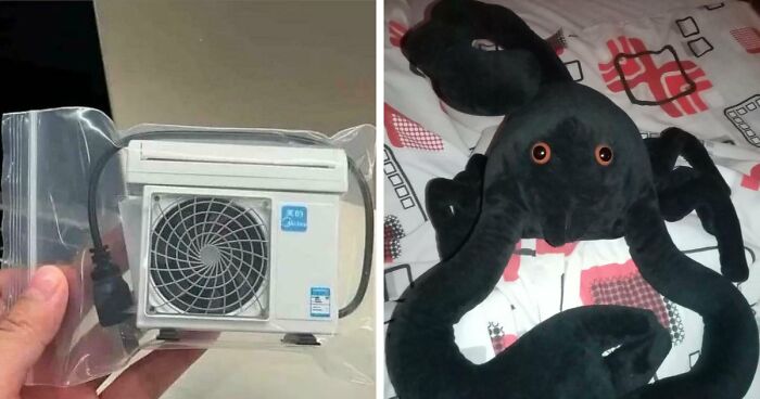 “Lesson Learnt”: 55 Times People Ordered From Temu Or AliExpress And Could Only Blame Themselves