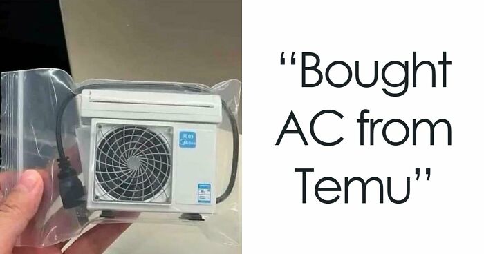 “Lesson Learnt”: 55 Times People Ordered From Temu Or AliExpress And Could Only Blame Themselves