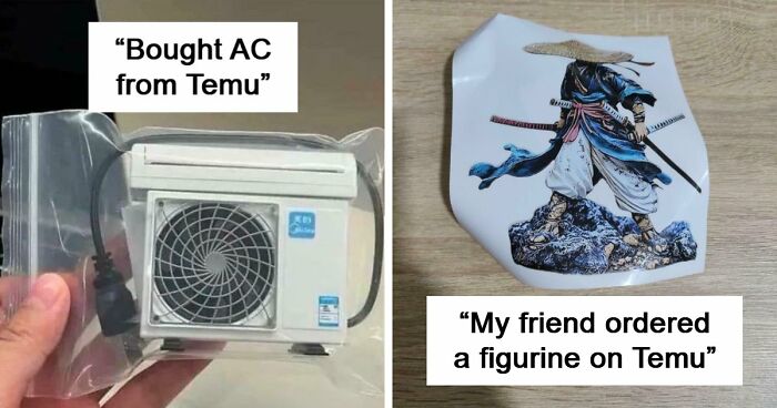 “Lesson Learnt”: 55 Times People Ordered From Temu Or AliExpress And Could Only Blame Themselves