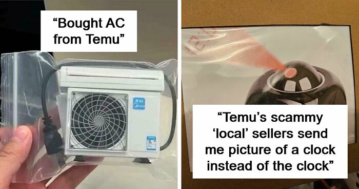 “Lesson Learnt”: 55 Times People Ordered From Temu Or AliExpress And Could Only Blame Themselves