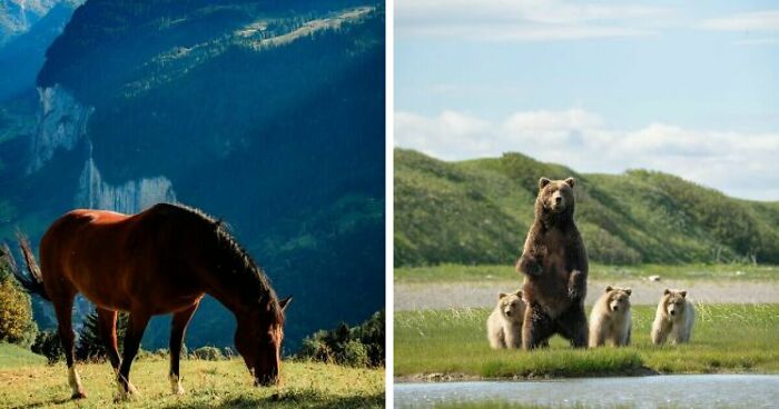 62 Breathtaking Travel Photos That Prove The World Is Even More Beautiful Than You Think