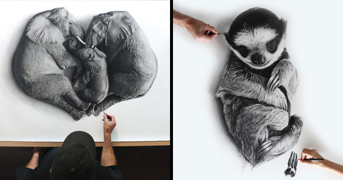 20 Stunning Charcoal Drawings Of Animals Created By A Father-Daughter Duo