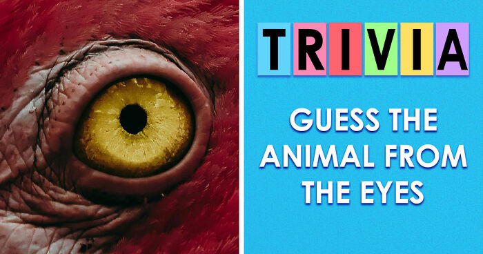 “How Good Are You With Details?”: 20 Animal Eyes That Will Completely Mess With Your Brain