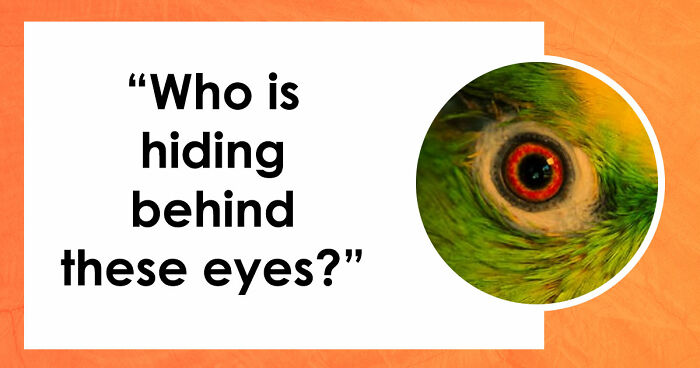 “How Good Are You With Details?”: 20 Animal Eyes That Will Completely Mess With Your Brain