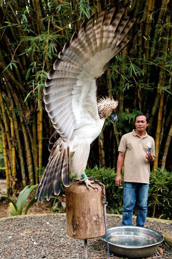  Philippines