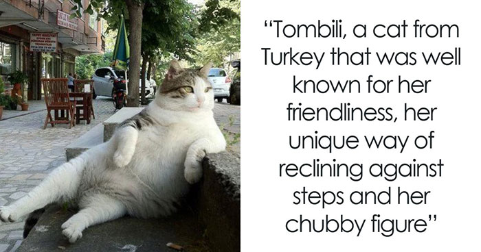 54 People From Different Nations Share Their Coolest Animal Photos For Your Good Vibes Today