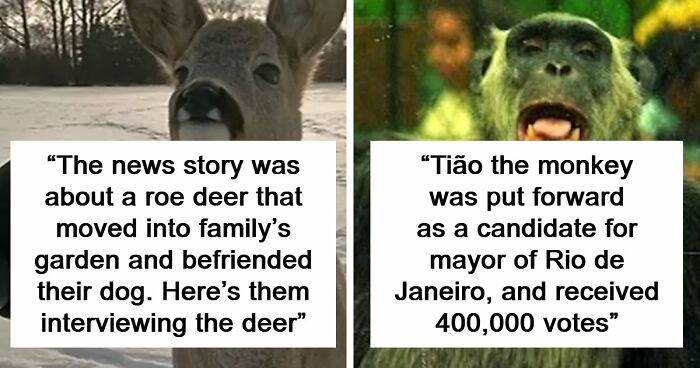 54 People From Different Nations Share Their Coolest Animal Photos For Your Good Vibes Today