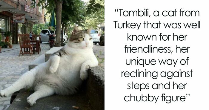 54 People From Different Nations Share Their Coolest Animal Photos For Your Good Vibes Today