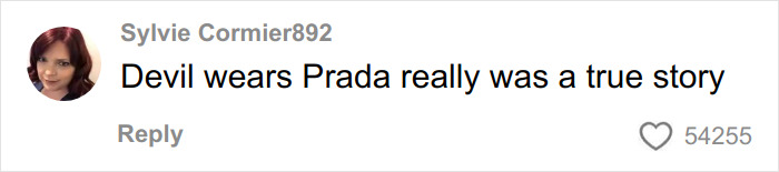 Comment stating the Devil Wears Prada movie was a true story, reflecting ex-assistants&rsquo; reality of working with Anna Wintour.