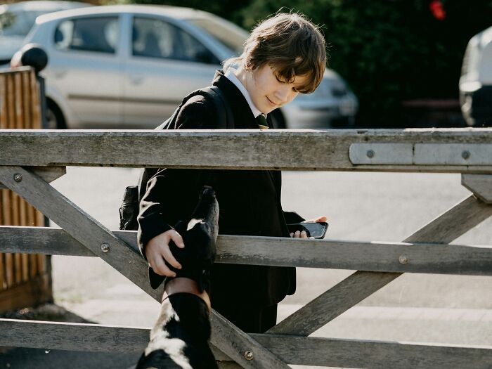 A boy in a school uniform interacting with a dog through a wooden fence, displaying pets acting suspiciously like humans.