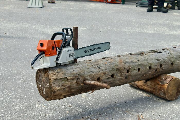 Chainsaw placed on a large wooden log with holes, illustrating unique tools in weird and interesting medical facts.
