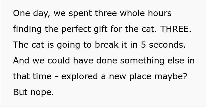 Text about spending hours finding the perfect gift for a cat, highlighting obsession in crazy cat lady K-Drama romance context.